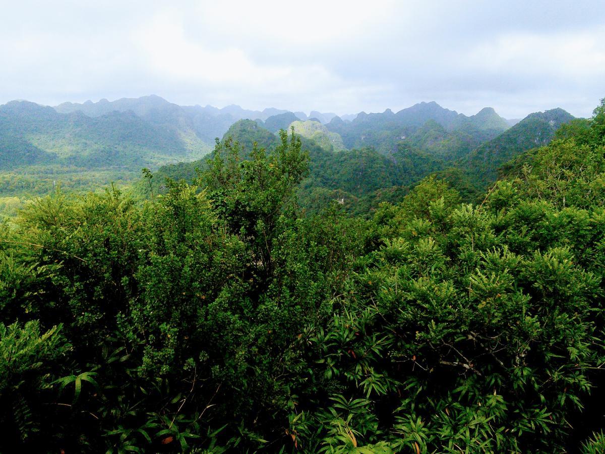 Nam Phuong Hotel Dong Khe Sau Bagian luar foto